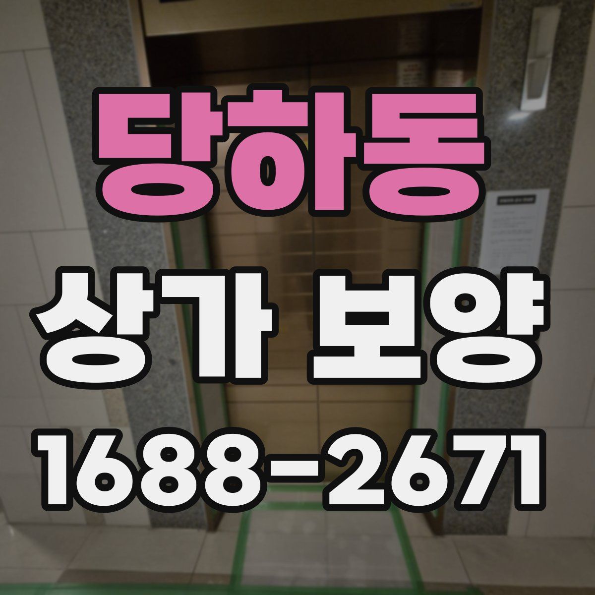 당하동 상가 보양
