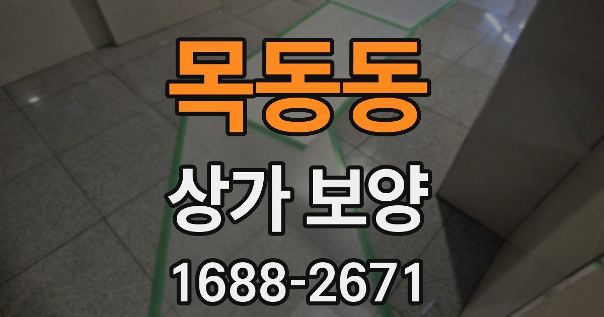 목동동 상가 보양