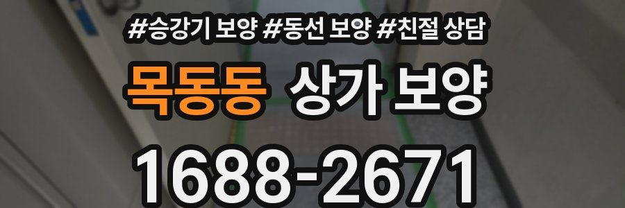 목동동 상가 보양