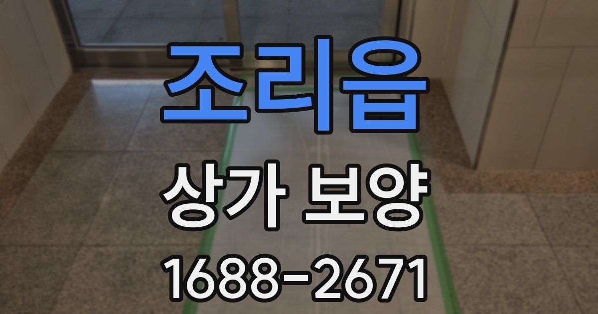 조리읍 상가 보양