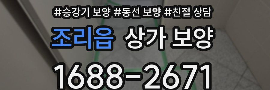 조리읍 상가 보양