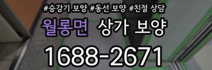 월롱면 상가 보양
