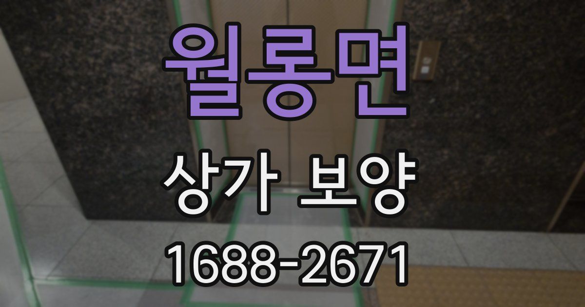 월롱면 상가 보양