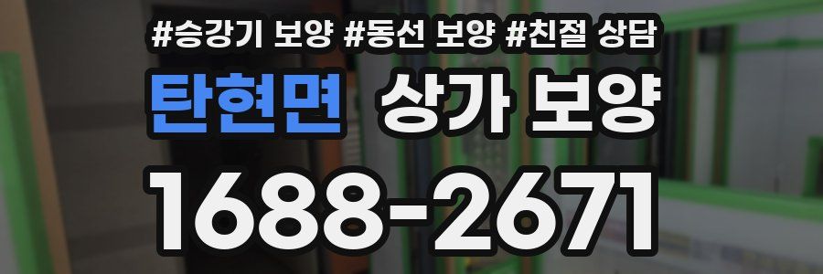탄현면 상가 보양