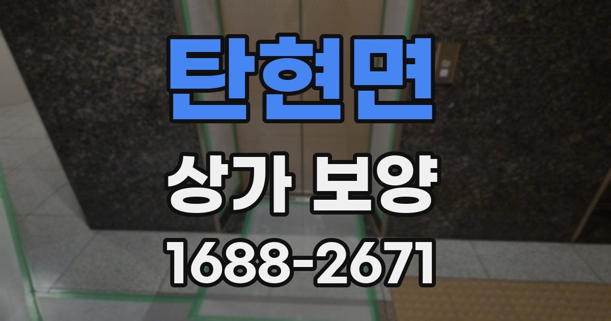 탄현면 상가 보양