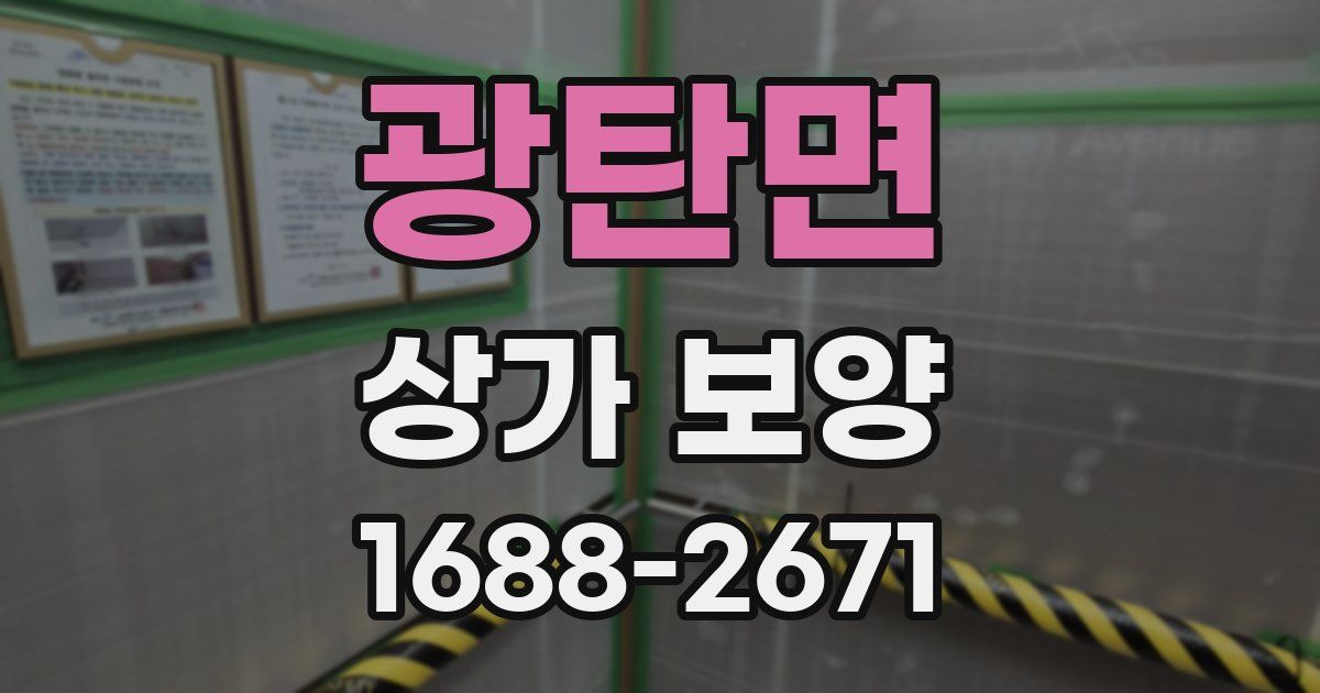 광탄면 상가 보양