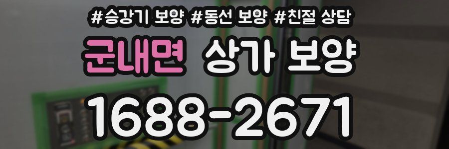 군내면 상가 보양
