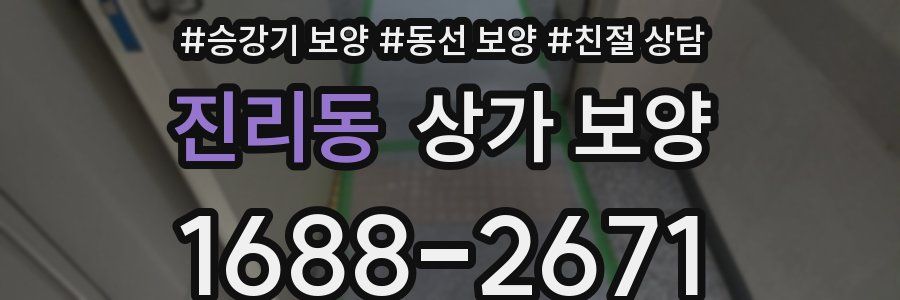 진리동 상가 보양