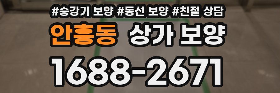 안흥동 상가 보양