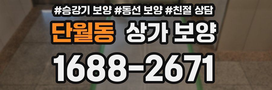 단월동 상가 보양