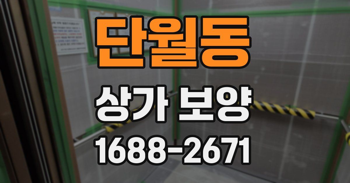 단월동 상가 보양