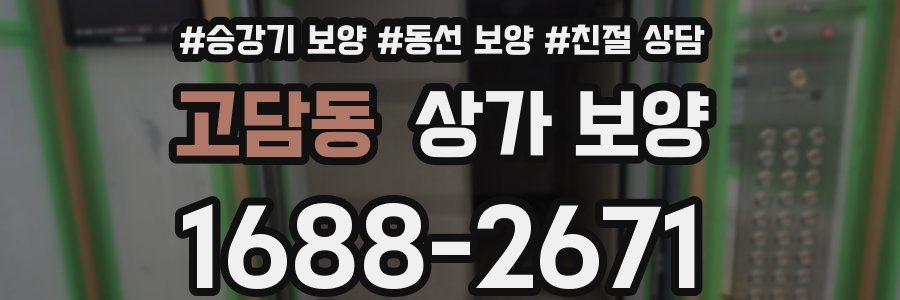고담동 상가 보양