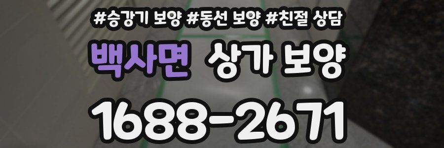 백사면 상가 보양