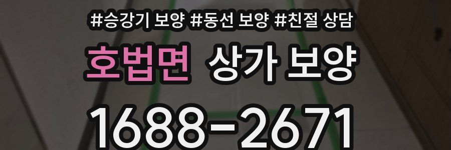 호법면 상가 보양