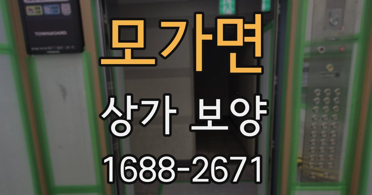 모가면 상가 보양