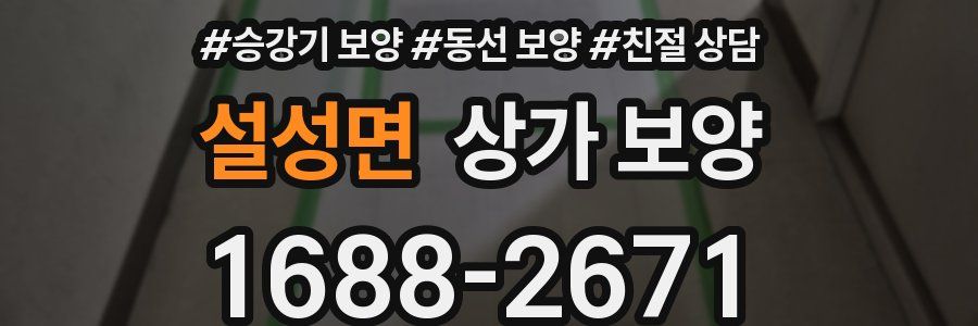 설성면 상가 보양