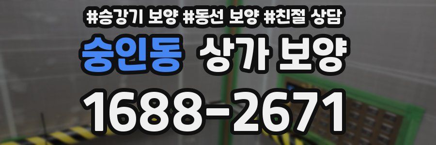 숭인동 상가 보양