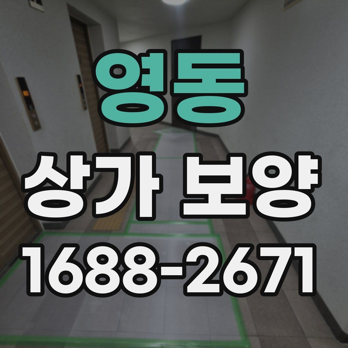 영동 상가 보양 대상 공간을 구분하는 법