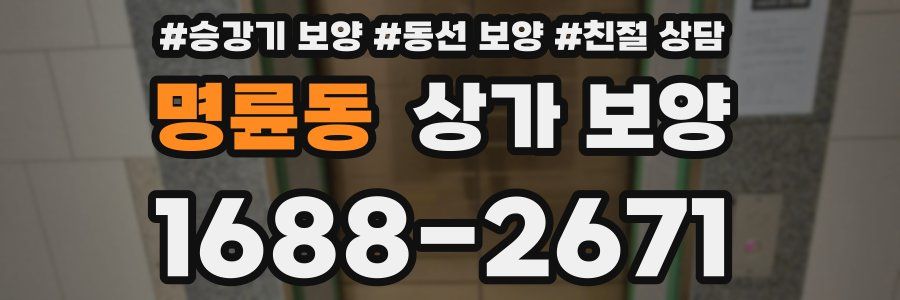 명륜동 상가 보양