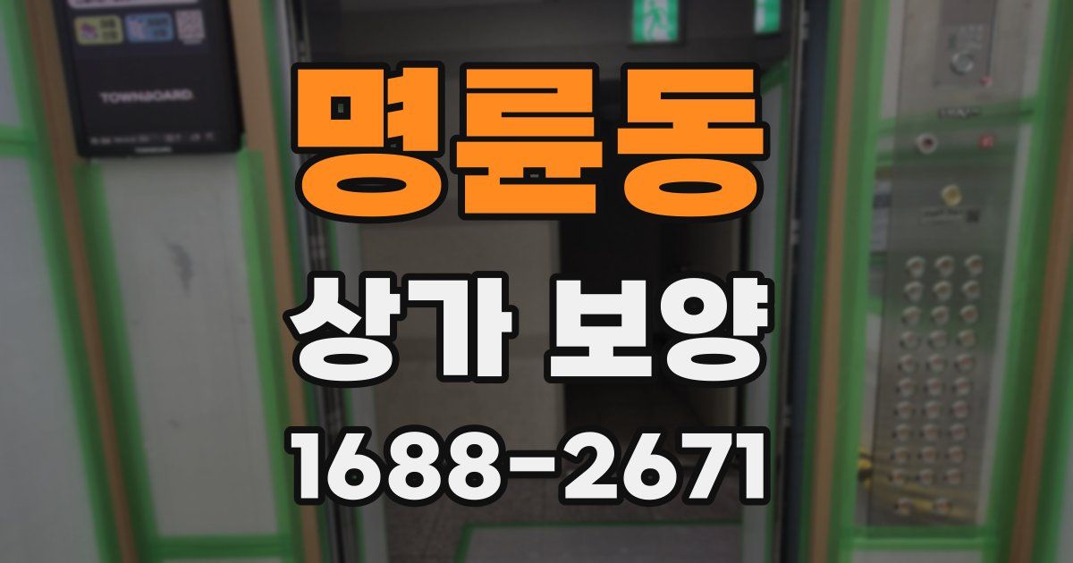 명륜동 상가 보양