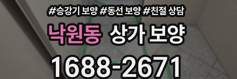 낙원동 상가 보양