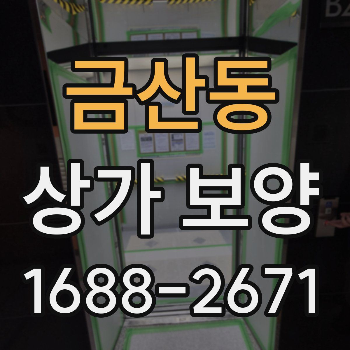 금산동 상가 보양