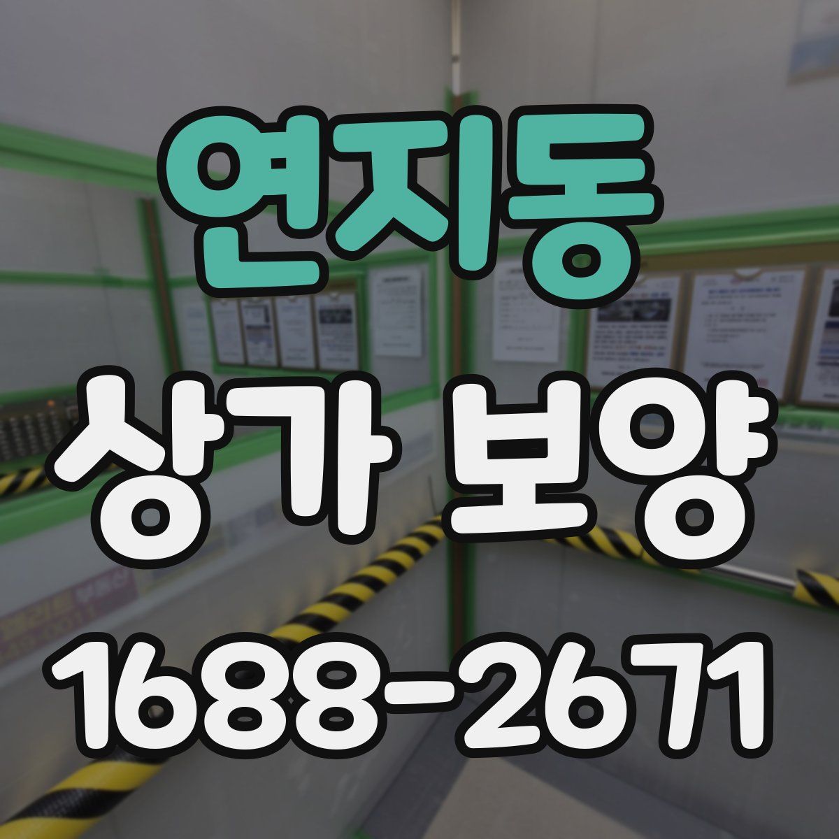 연지동 상가 보양