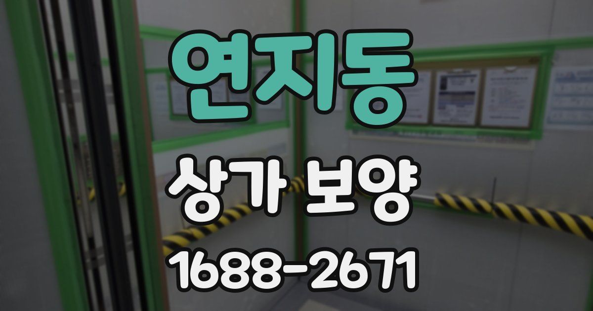 연지동 상가 보양