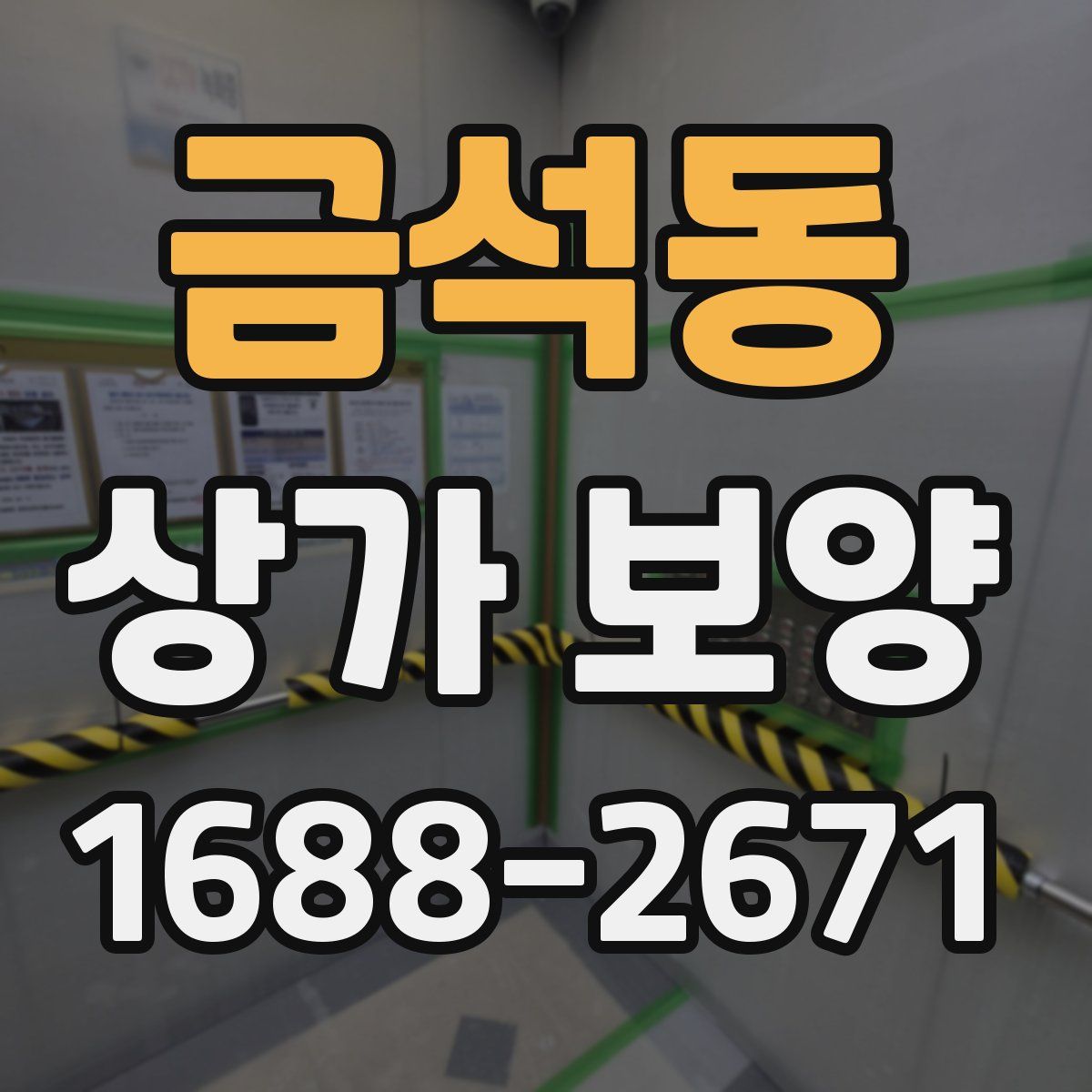 금석동 상가 보양