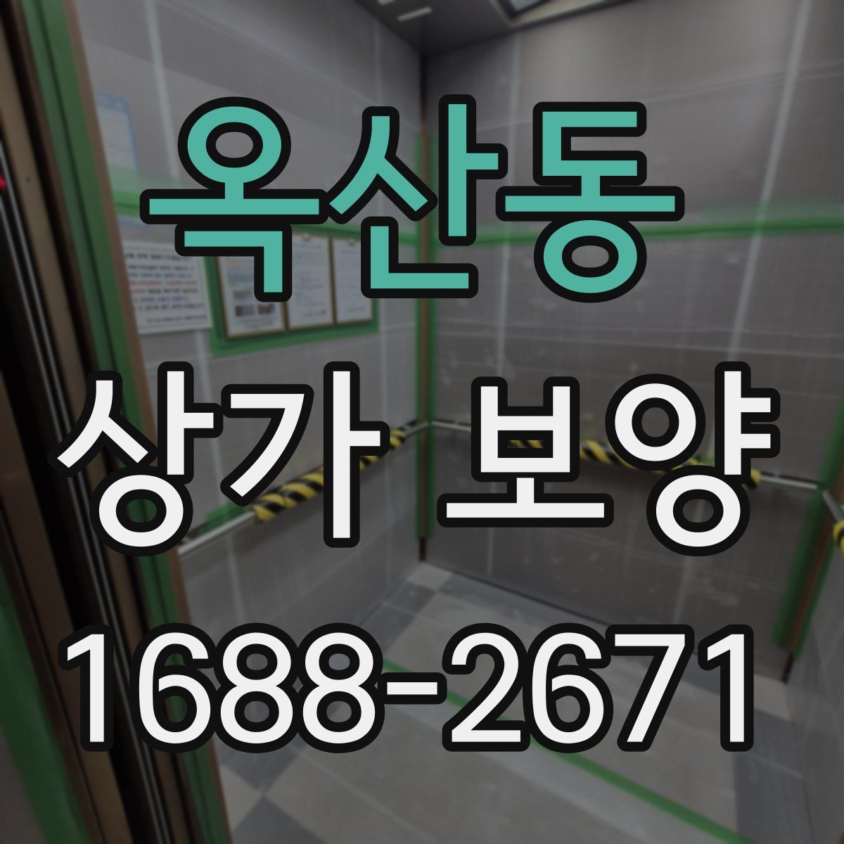 옥산동 상가 보양