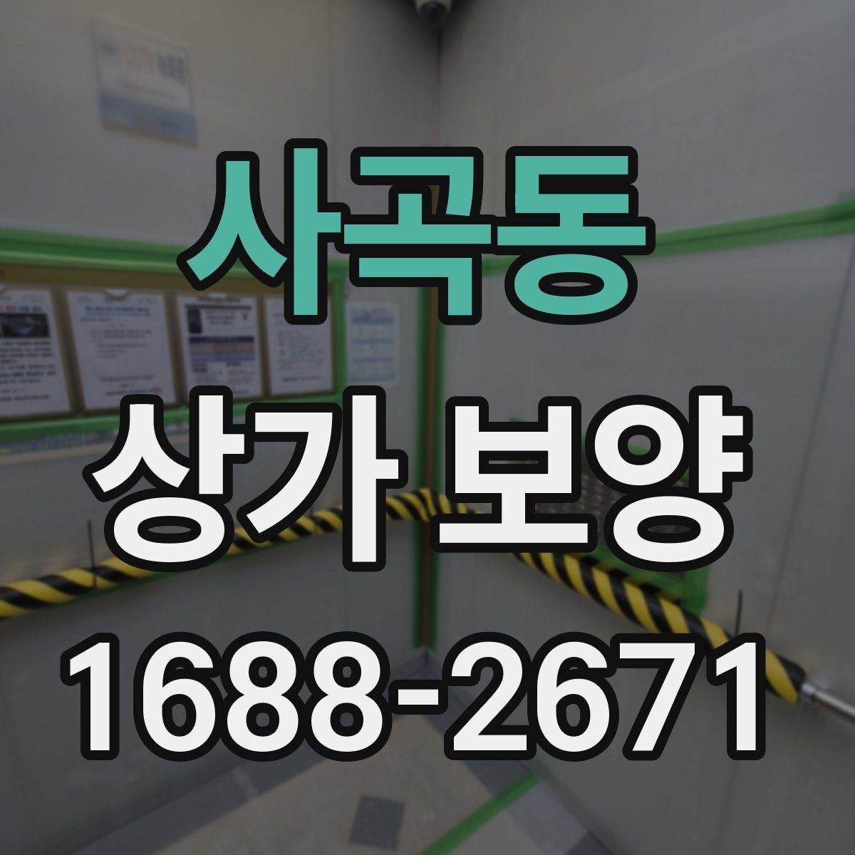 사곡동 상가 보양 품질을 좌우하는 핵심 요소