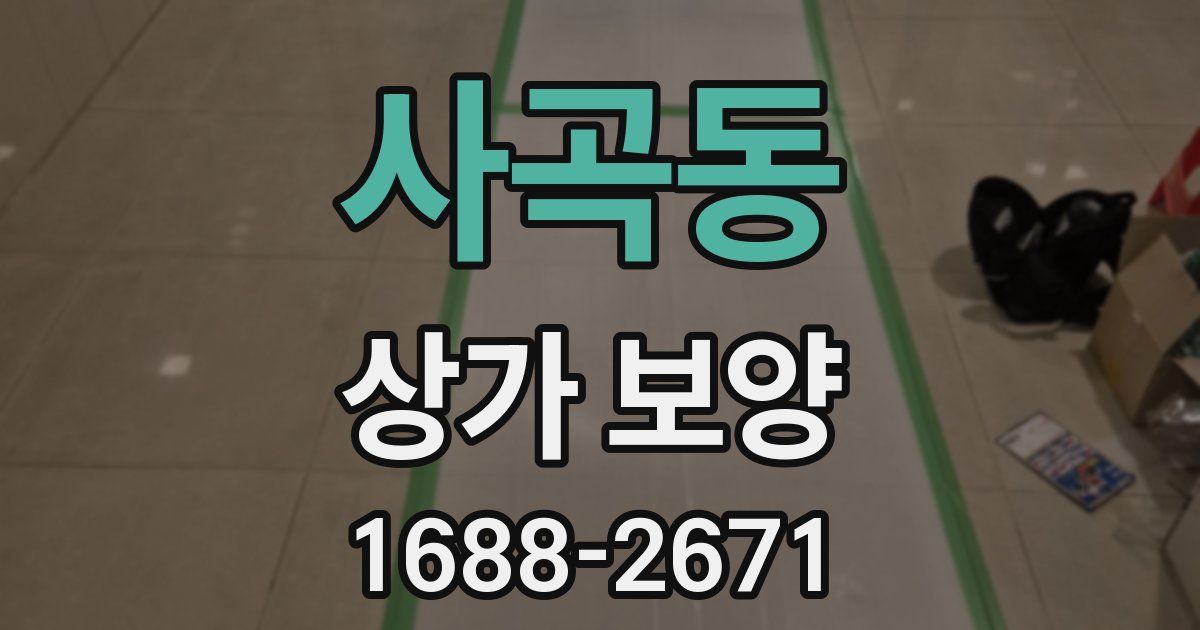 사곡동 상가 보양
