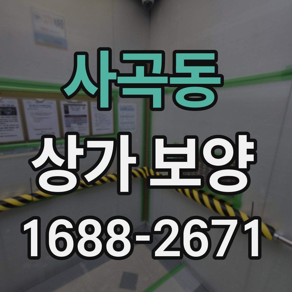사곡동 상가 보양