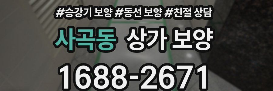 사곡동 상가 보양