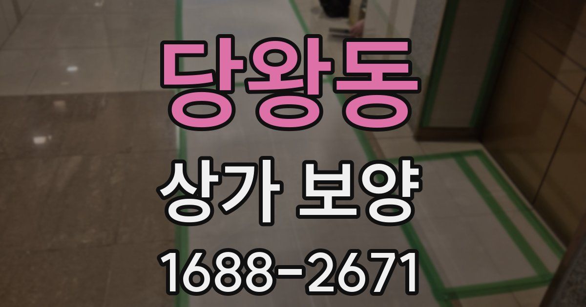 당왕동 상가 보양