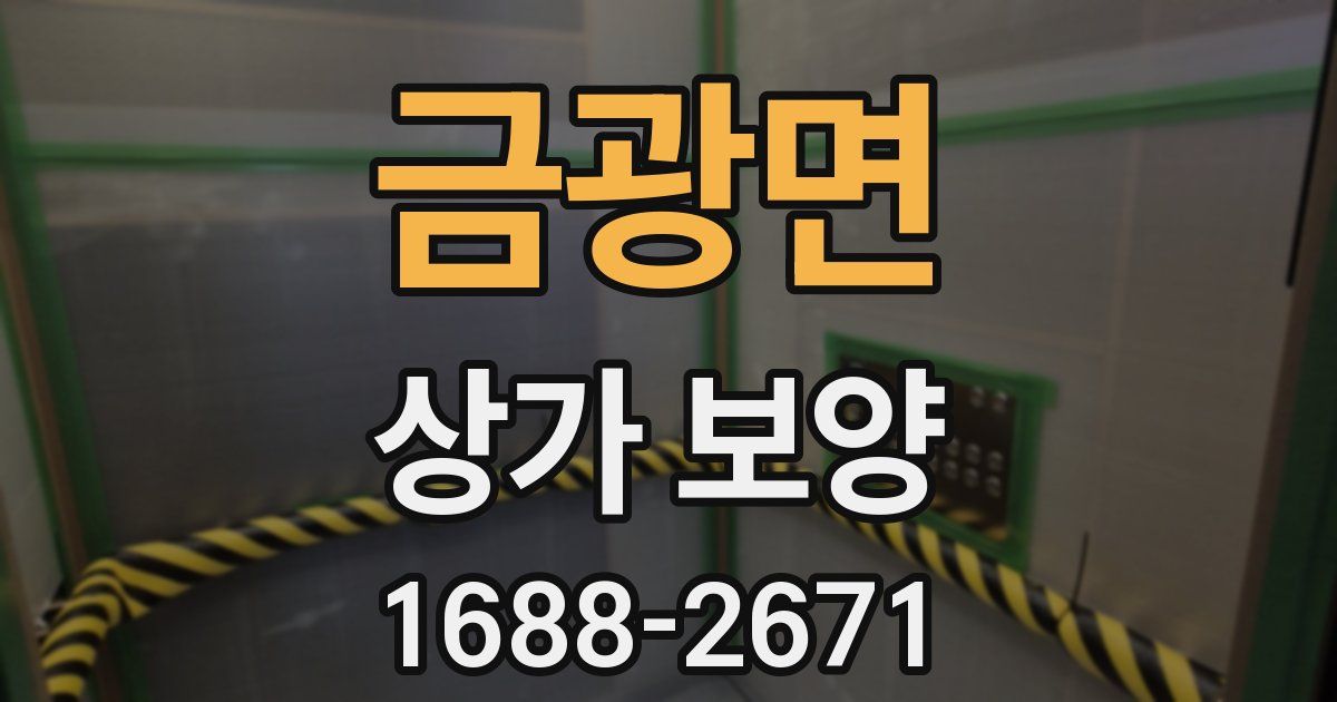 금광면 상가 보양