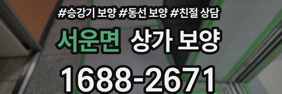 서운면 상가 보양