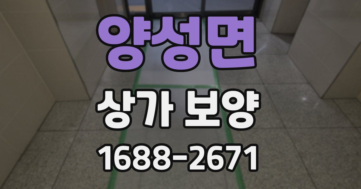 양성면 상가 보양