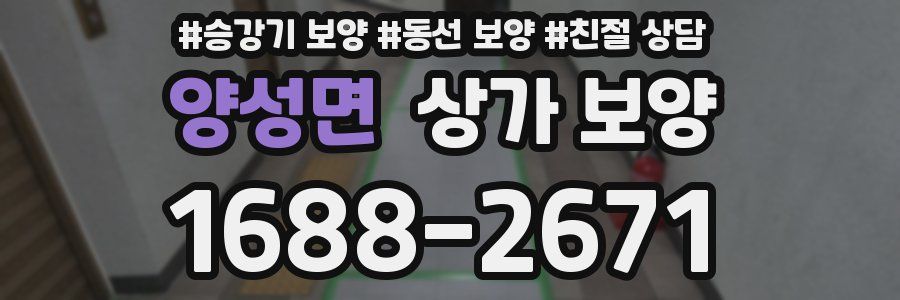 양성면 상가 보양