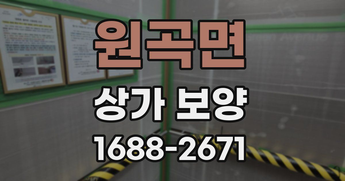 원곡면 상가 보양