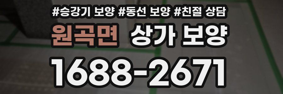 원곡면 상가 보양