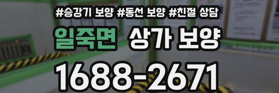 일죽면 상가 보양
