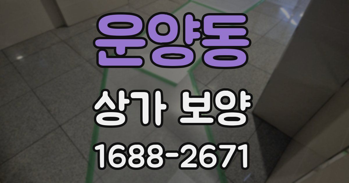 운양동 상가 보양