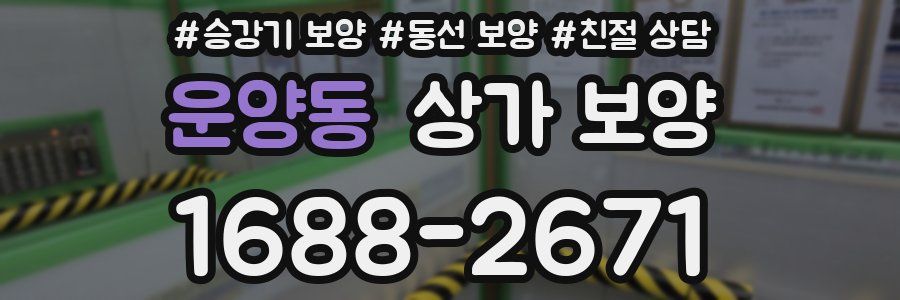 운양동 상가 보양