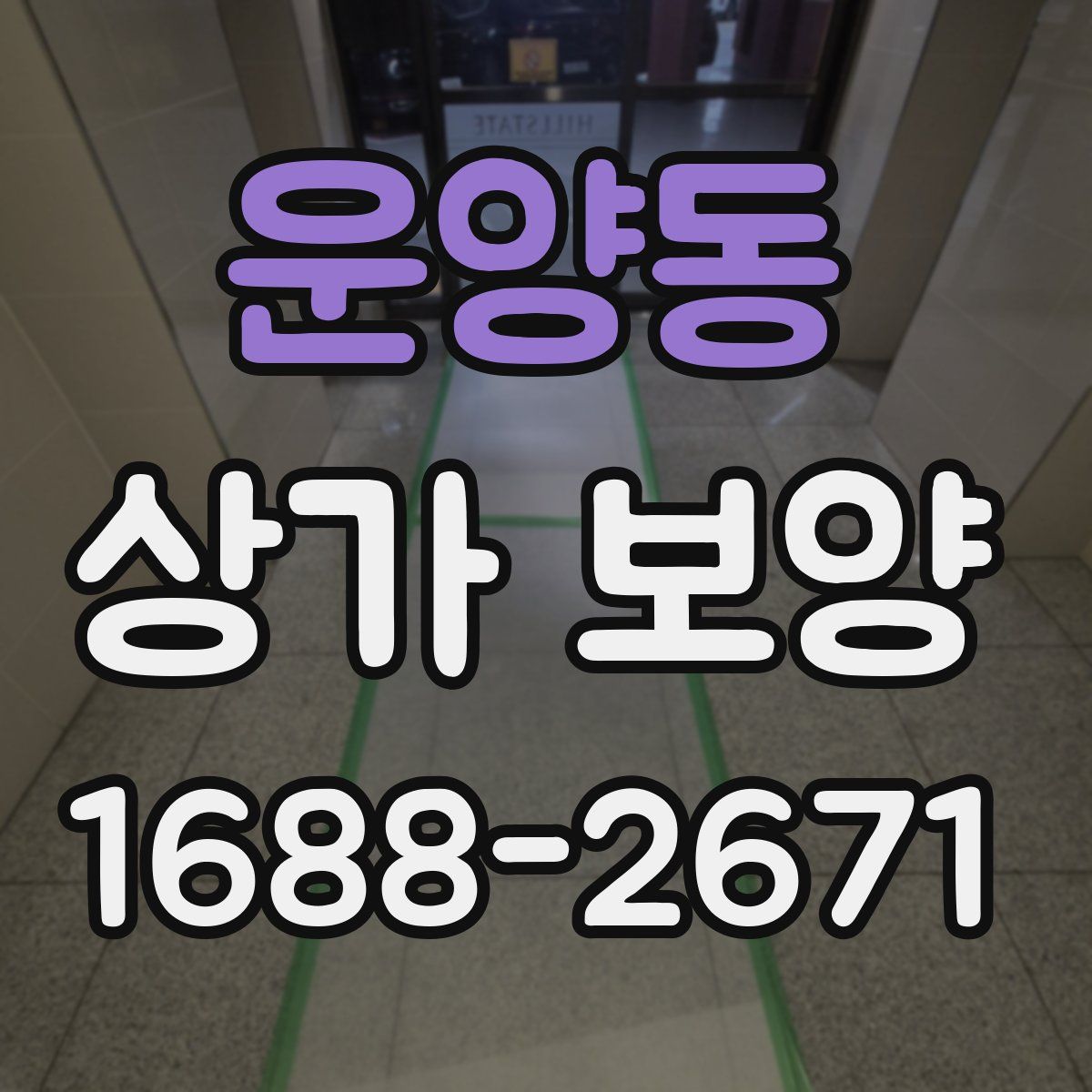 운양동 상가 보양