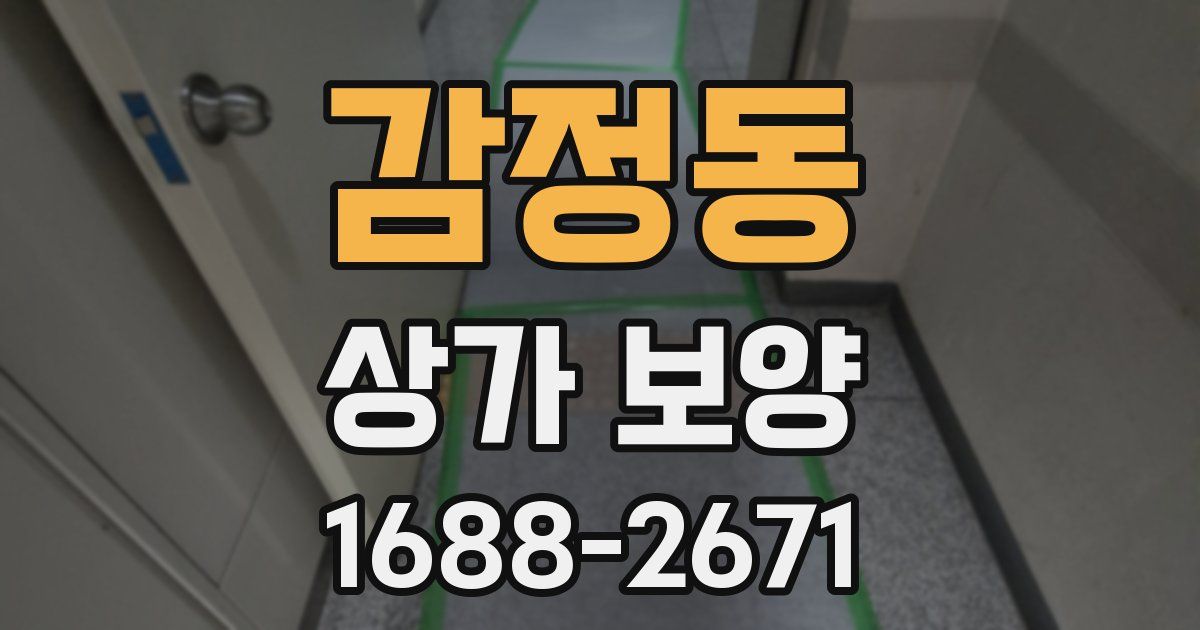 감정동 상가 보양