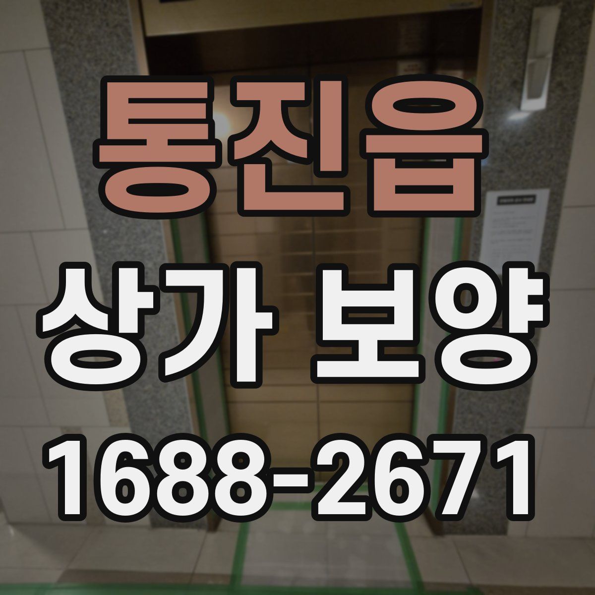 통진읍 상가 보양