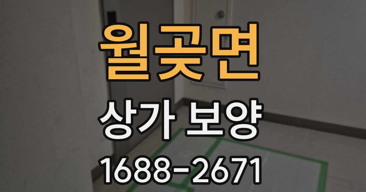 월곶면 상가 보양