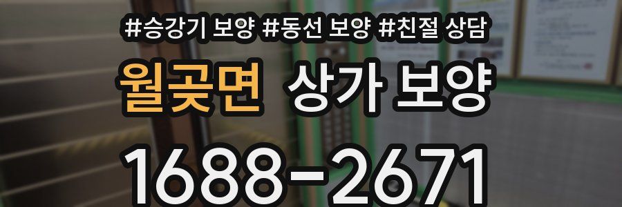 월곶면 상가 보양