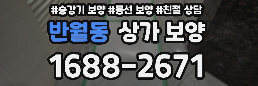 반월동 상가 보양